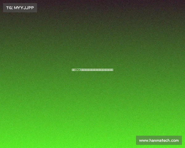 英超U23联赛:新星崛起的舞台与未来英格兰足球的希望