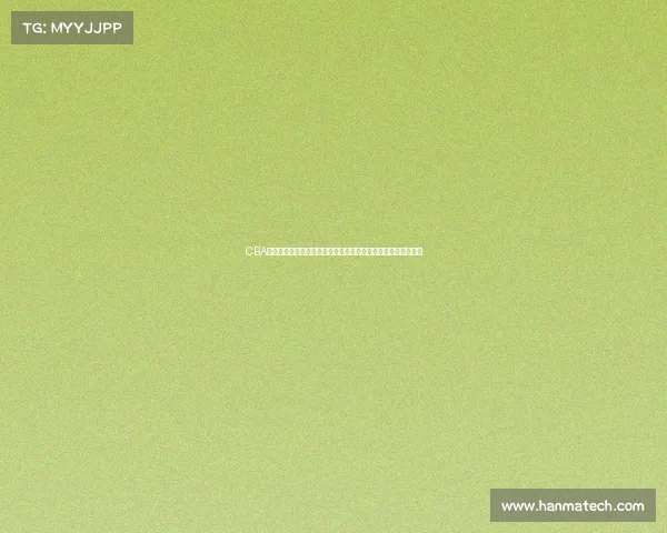 CBA联盟新规解析与改革探讨：助力中国篮球发展与国际竞争力提升